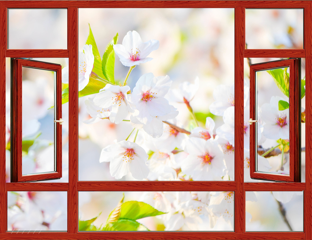 让派力仕智能门窗为你打造春意盎然的居家环境！